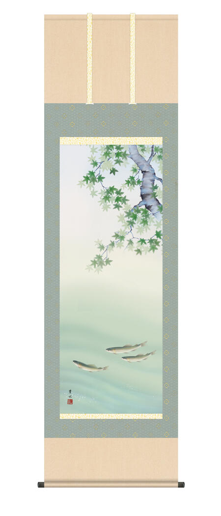 掛軸 本物の 緒方葉水 楓に鮎 夏掛け 花鳥画 掛け軸 掛軸 送料無料 54 5cm 約190cm プレゼント ギフト 祝い 外国人向け土産 祝い 開店 移転 店舗 事務所 引越 引っ越し カエデ 若鮎 鮎 夏 日本画 アート インテリア 和 和室 10年保証 尺五