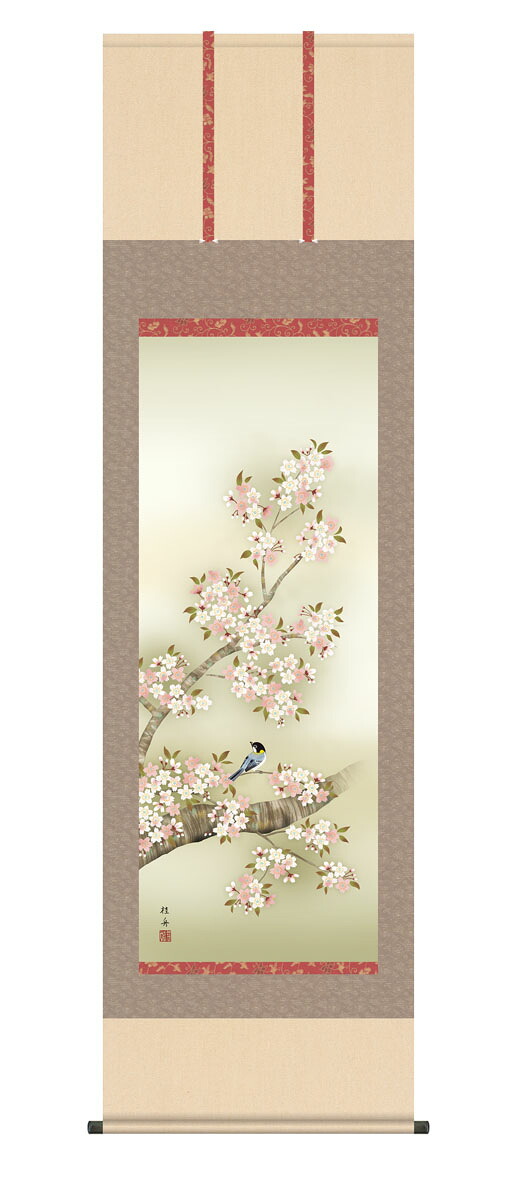 掛軸 掛け軸 花鳥画 春掛け 「桜花に小鳥」 kz5a2127 緒方葉水 送料無料 尺五 10年保証 和室 和 インテリア アート 日本画 春 桜 春飾り 床の間 床の間飾り 54.5cm×約190cm|ハッピー雑貨専門店Happymarche