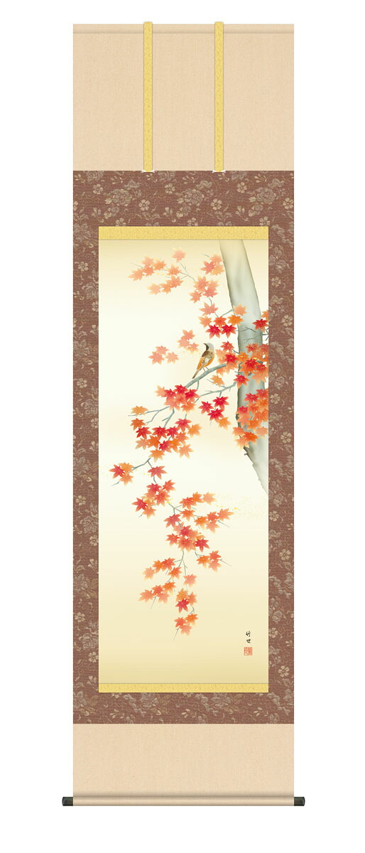 掛け軸 掛軸 床の間 収納箱 桐箱 おしゃれ 「紅葉に小鳥」 kz5a4102 尺五 送料無料 10年保証 インテリア アート 日本画 夏 夏掛け 54.5cm×約190cm 田村竹世|ハッピー雑貨専門店Happymarche