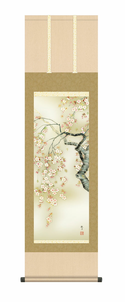 掛軸 夜桜 共箱 春 花 季節 掛軸 夜桜 共箱 春 花 季節
