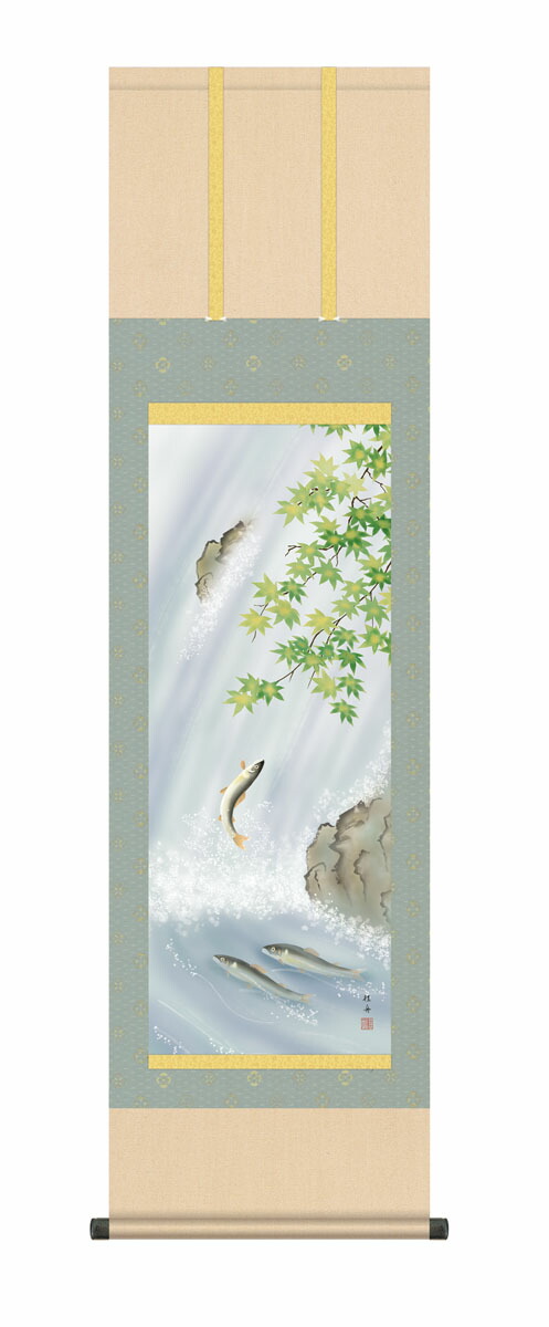 掛け軸 掛軸 夏掛け 花鳥画 「楓に鮎」 kz5ma3158 長江桂舟 送料無料 尺三 10年保証 高級仕様 和 和室 インテリア アート 日本画 魚 緑 鮎 床の間 床の間飾り 44.5cm×約164cm
