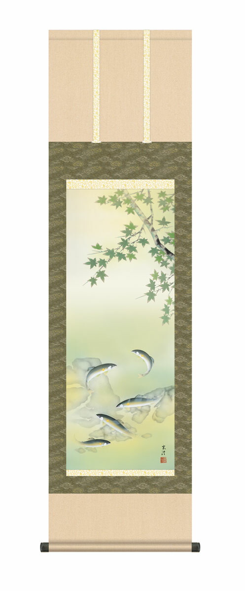 掛け軸 掛軸 夏掛け 花鳥画 「楓に鮎」 kz5ma620b 清水玄澄 送料無料 尺三 10年保証 高級仕様 和 和室 インテリア アート 日本画 魚 緑 鮎 床の間 床の間飾り 44.5cm×約164cm