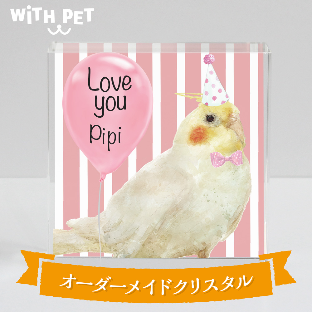 オカメインコ✨収納用品✨ファイルボックス✨木製✨鳥✨インコ✨グッズ