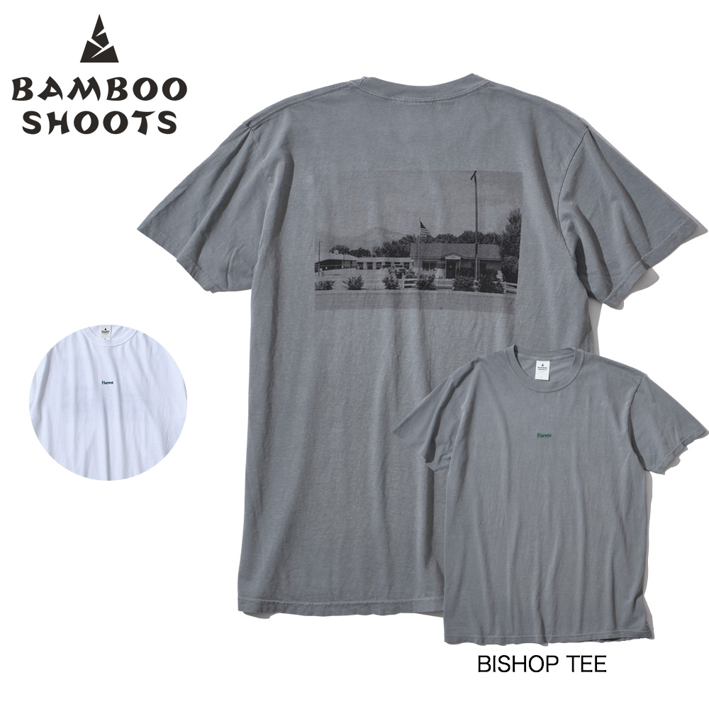楽天市場】BAMBOO SHOOTS バンブーシュート OPEN COLLAR SS