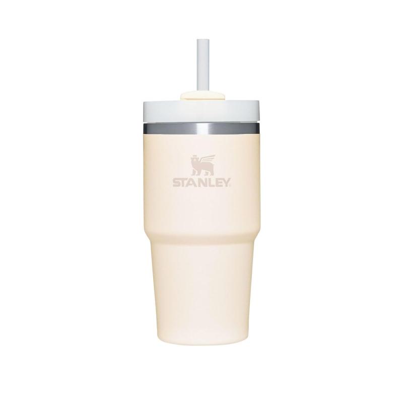 スタンレー（STANLEY） 吸い筒 タンプラー 保冷 H2.0 無意味さスリムクエンチャー0.6L 10-10826-059 （皮膚軟化剤/ＦＦ）