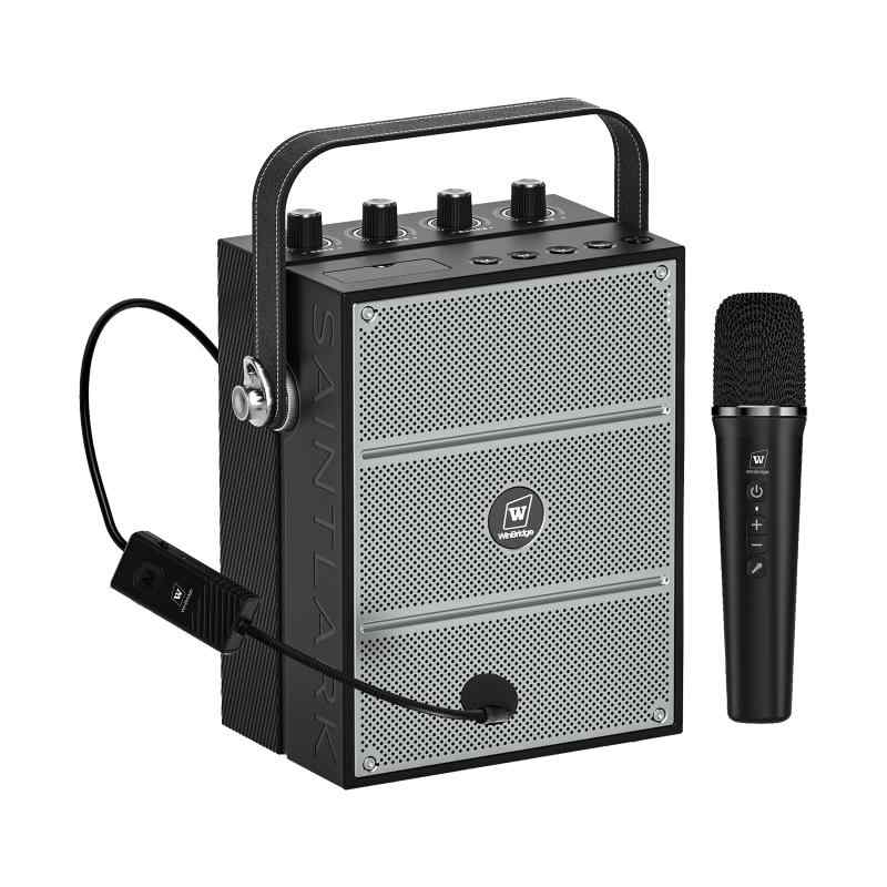 WWinBridge 60W ハンドヘルドマイク ポータブル拡声器 2つのマイクPAシステム 音楽再生 エコー/録音/USB/AUX/TFカード ヘッドセットマイク アウトドア、指導、小規模パーティー、研修、イベント、｜バンブ