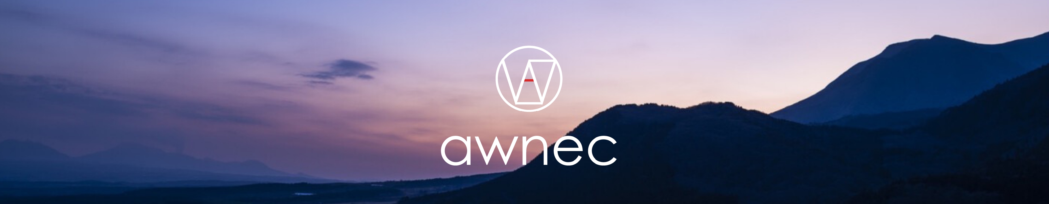 楽天市場】awnec バランスボード 木製 専用ケース付き 木製バランスボード 日本ブランド 子供 大人 体幹トレニング 表面加工 フィットネス ヨガ  ダイエット 知育玩具 健康器具 : バンシルショップ