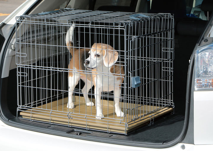 楽天市場 折りたたみケージ Oke 750r シルバー ブラウン ケージ 折りたたみ ゲージ キャリー ハウス 檻 オリ 柵 サク 扉 扉付き 移動 犬 犬用 ドッグ イヌ 屋根付き ドライブ お出かけ 室内 しつけ 中型犬 中型 アイリスオーヤマ 快適空間のお手伝い B C