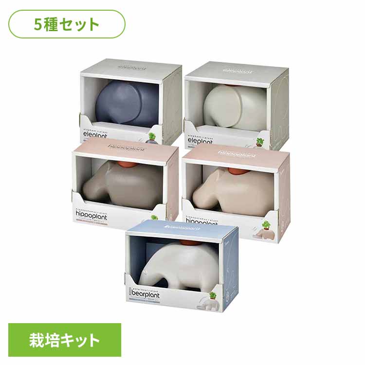 夏物家電特集