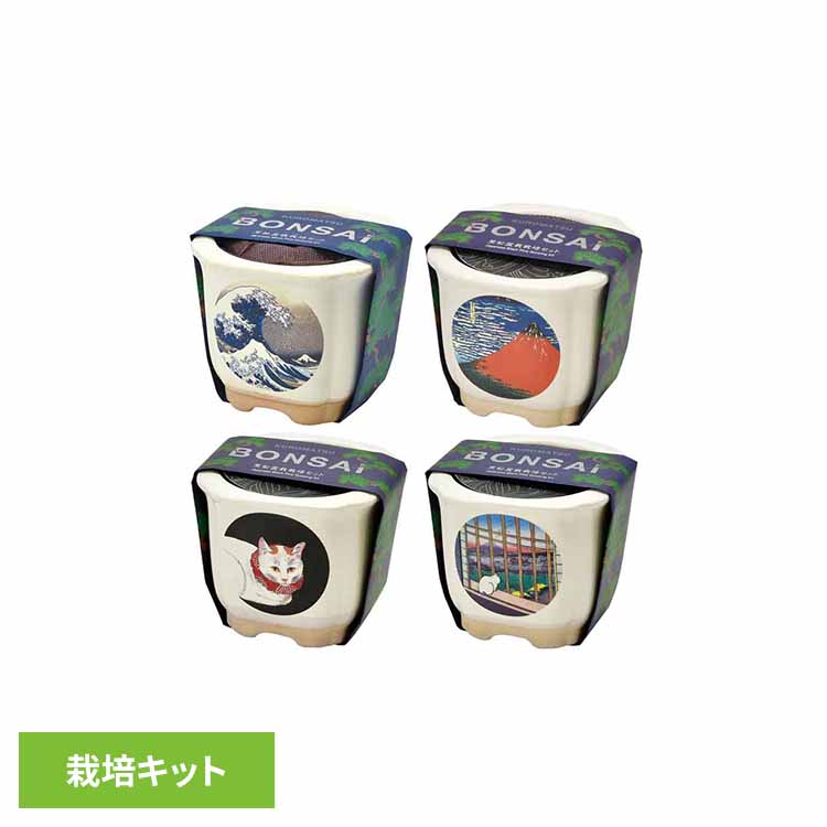 楽天市場】[最大250円OFFクーポン/新生活フェア] 【4種セット