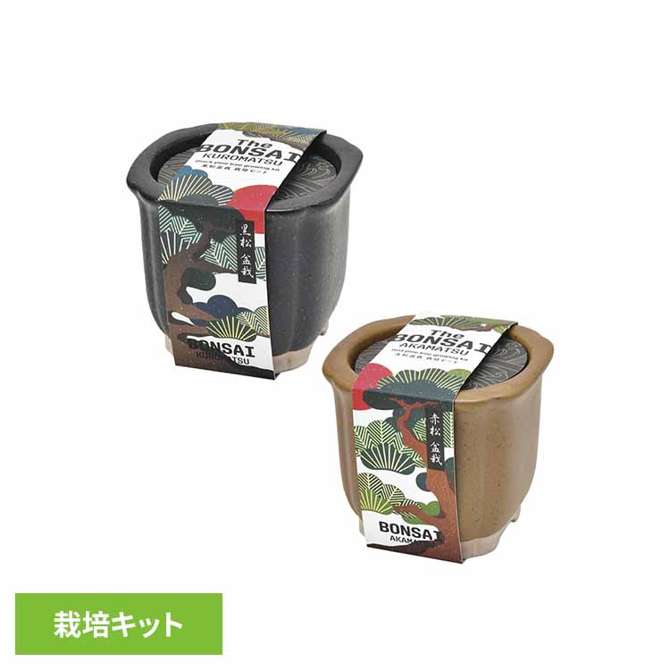 ✴新品・未使用✴タイベック穴開き＆カサジソウ500セット 楽天市場】【アウトレットセール】聖新陶芸 The BONSAI 栽培セット