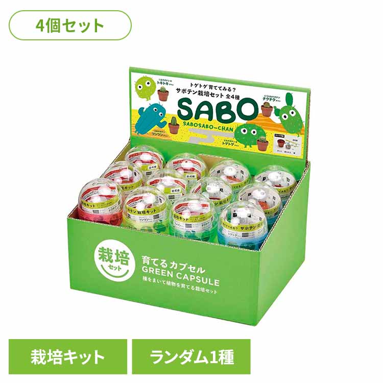 楽天市場】[最大400円OFFクーポン/くらしにプラス] 【4個セット