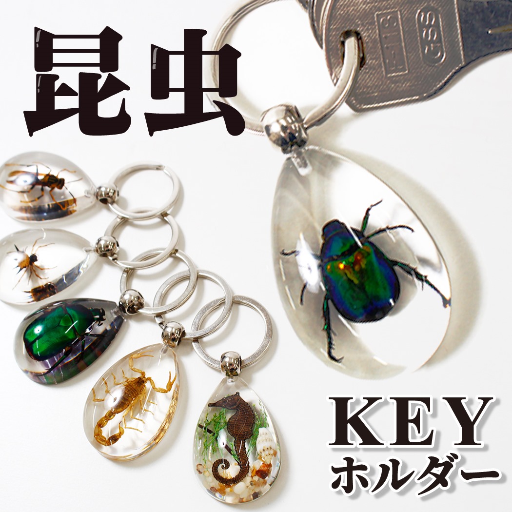 楽天市場 昆虫 キーホルダー レジン キーリング 虫 キッズ こども 子供 レディース メンズ リアル 本物 おもしろ アクセサリー チャーム クリア プレゼント むし 標本 タツノオトシゴ コガネムシ カナブン クワガタ サソリ クモ 蜘蛛 ハチ 蜂 アシナガバチ セミ 蝉 Sale