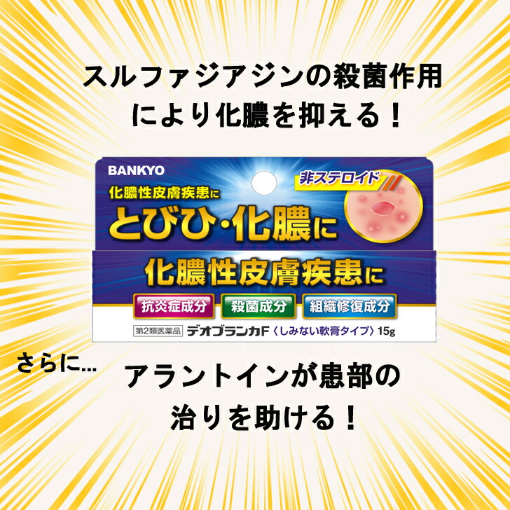 即日発送 デオブランカＦ ケース販売 144個 1ケース 1個あたり390円 化膿 とびひ 薬 塗り薬 軟膏 バンキョードラッグ 万協製薬  化膿性皮膚疾患 しみない 日焼け後 炎症 fucoa.cl