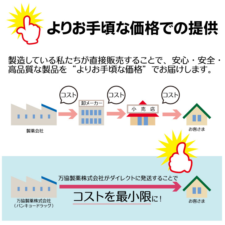 【第(2)類医薬品】エプールA注入軟膏EXバンキョードラッグ2g×10個入の100箱セットケース販売