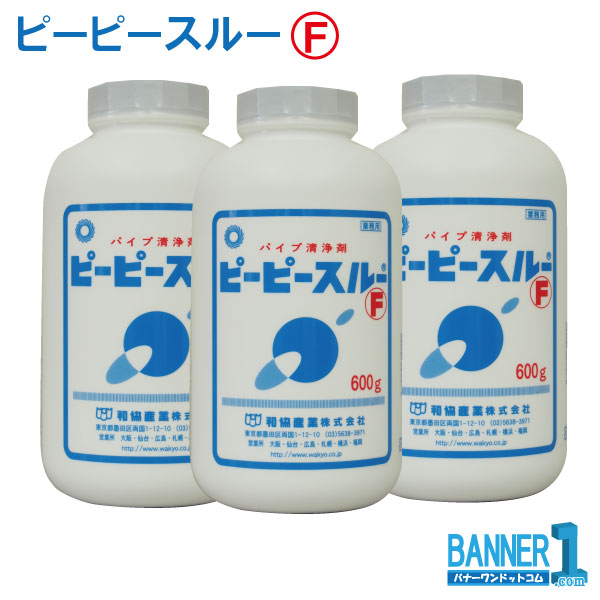 ピーピースルーF 業務用配水管洗浄剤 洗浄 消臭 除菌 和協産業 6本セット 600ｇ