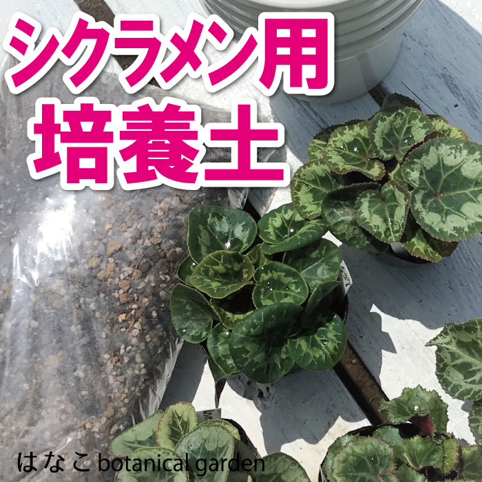 シクラメン用 培養土 ガーデニング はなこ 35l