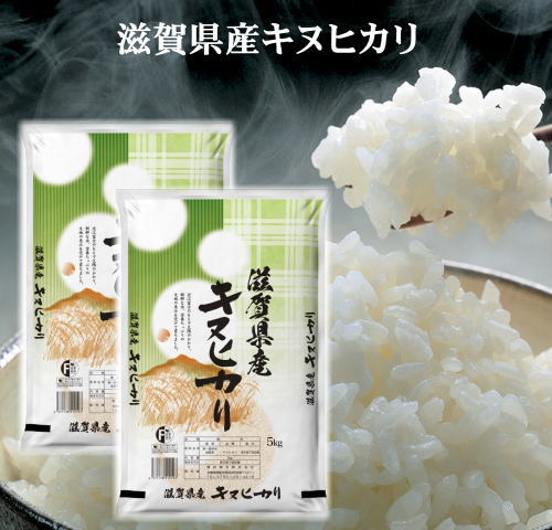 楽天市場】6年京都府産ひのひかり10kg(10kg×1袋) ヒノヒカリ お