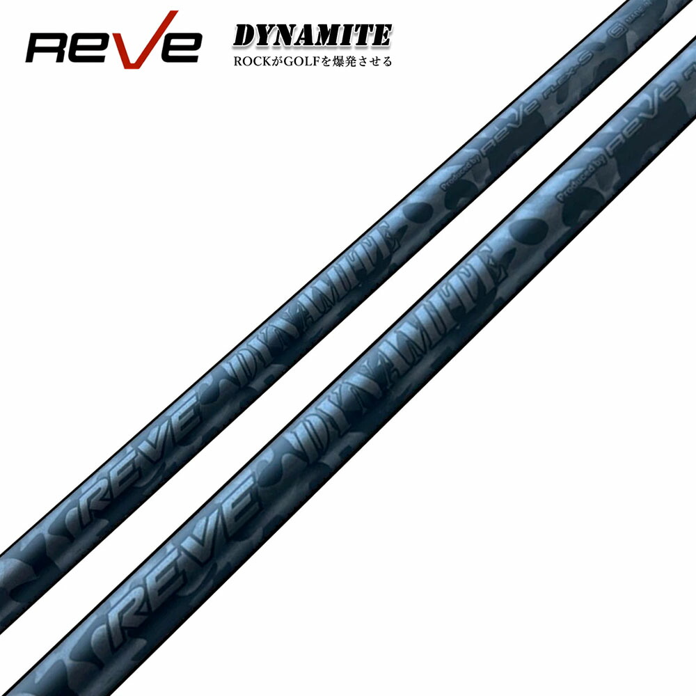 rev-dyna-1.jpg
