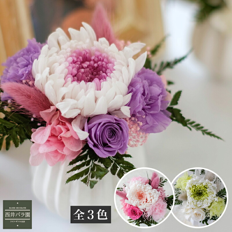 古希 祝い プレゼント 花 プレゼント 喜ぶもの 予約 プリザーブドフラワー [凜花] 菊 贈り物 ギフト プレゼント ペット お供え お悔やみ 誕生日 6月 記念日 還暦 古希 喜寿 長寿 和風 おばあちゃん おじいちゃん 母 父 お母さん お父さん 白磁器