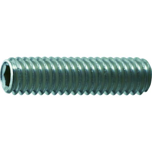 【楽天市場】TRUSCO(トラスコ) 六角穴付止めネジ 平先 ステンレス M4x5 55本入 B770405：バラエティショップ平和2号店