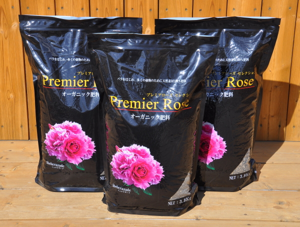 週末セール！ラスト株！蕾付き❤️完全終了！超入手困難 和バラ苗 楽天市場】【最新刊】vol.38【本】New Roses SPECIAL EDITION for 2026