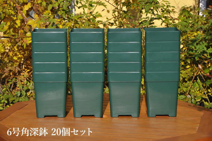 楽天市場】バラの家 8号深鉢 バラ向き ZIK-10000 : バラの家 【バラ苗