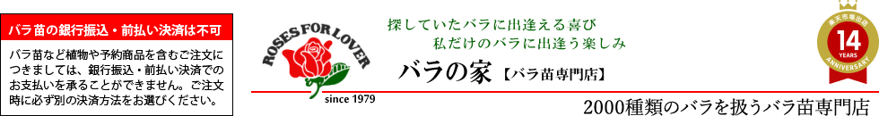 楽天市場 メインカテゴリ ロサオリエンティス バラの家 バラ苗専門店