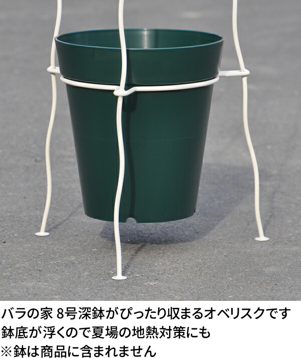 Bells More 2個 オベリスク It 1800b 代引不可 配送日時指定不可 直送品 Zik ベルツモアジャパン 300サイズ Umu Ac Ug