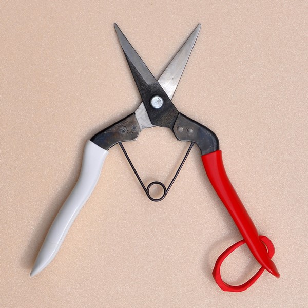 楽天市場】岡恒 芽切鋏(切り花向き)用替バネ2本入り☆ネコポス便