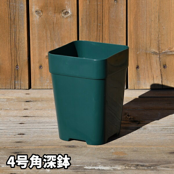 楽天市場】バラの家 8号深鉢 バラ向き ZIK-10000 : バラの家