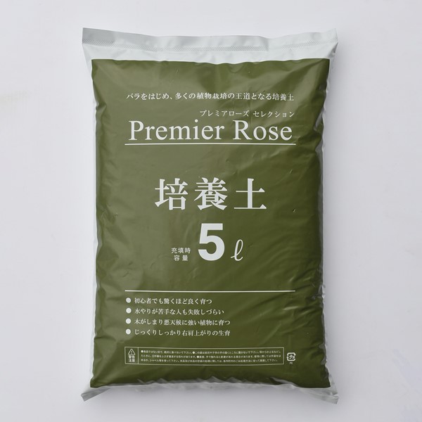 ローズ商品 楽天市場】【6角】プレミアローズセレクション【6号角深鉢】ロサ