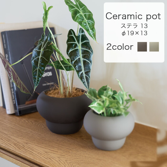 植木鉢 11鉢セット ① 植木鉢 11鉢セット ① 楽天市場】鉢 11号の通販