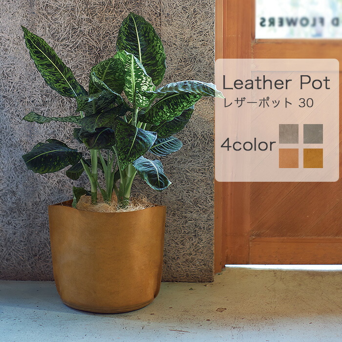 FARM レザーポット 30 植木鉢 鉢カバー 革 観葉植物 グリーン 楽天市場