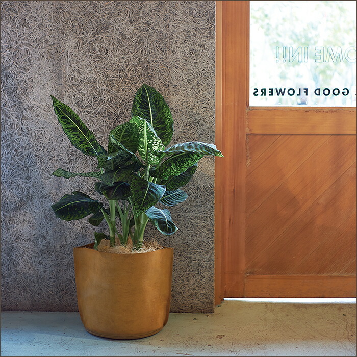 FARM　レザーポット 30 植木鉢　鉢カバー 革 観葉植物　グリーン 楽天市場】最大100%ポイントバック！※条件あり 革 鉢カバー