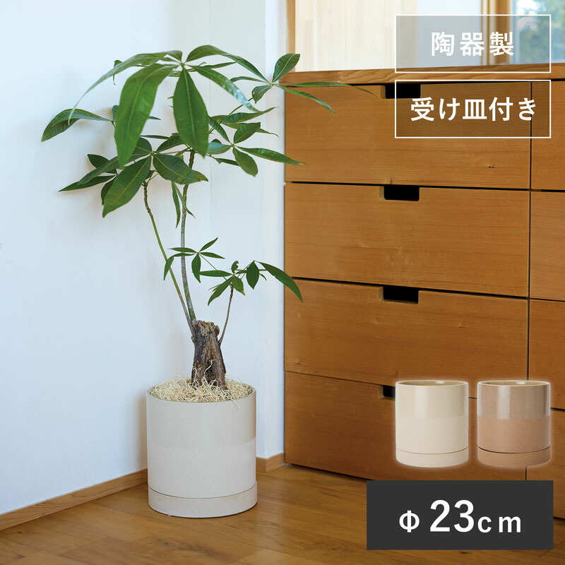 ステンレス鉢植え大サイズ受け皿セット 楽天市場】プランター 受け皿 受皿 正方形 13.5cm 角型