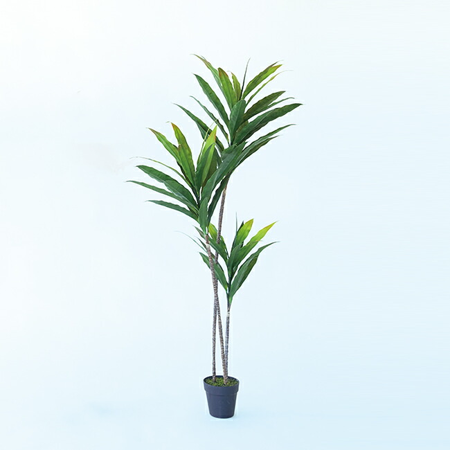 人工観葉植物 ドラセナポット140グリーン （1個） bc290-0 （代引き不可） p67