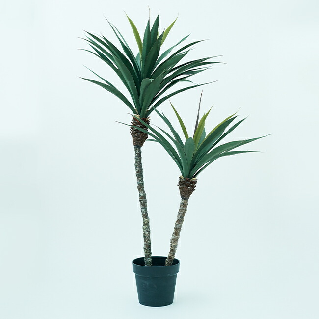 楽天市場】【造花】【フェイクグリーン】 ユッカ ロストラータ