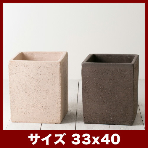 元の観葉植物 鉢 サイズ 測り方 すべての美しい花の画像