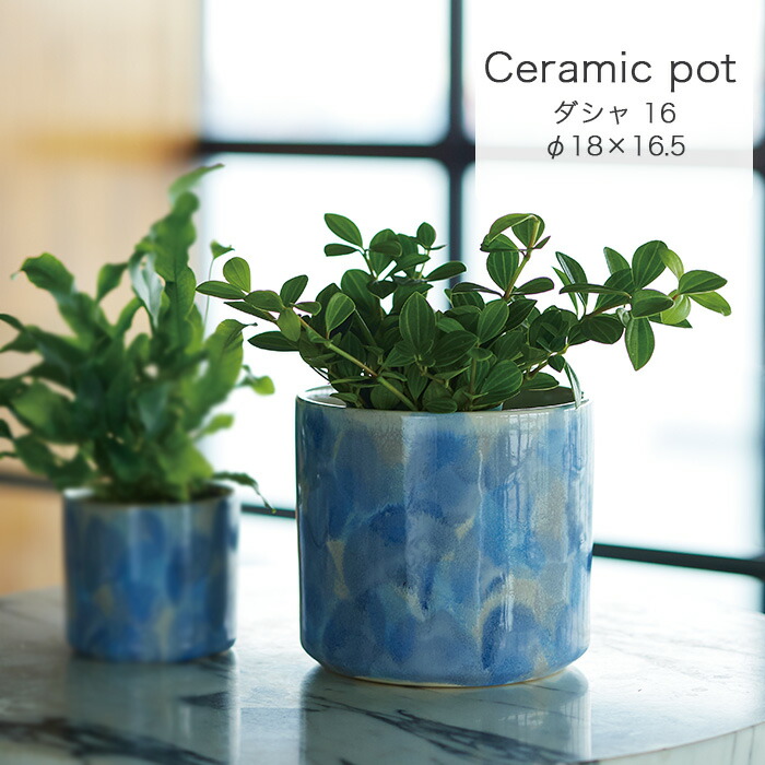 ROOM - 欲しい! に出会える。