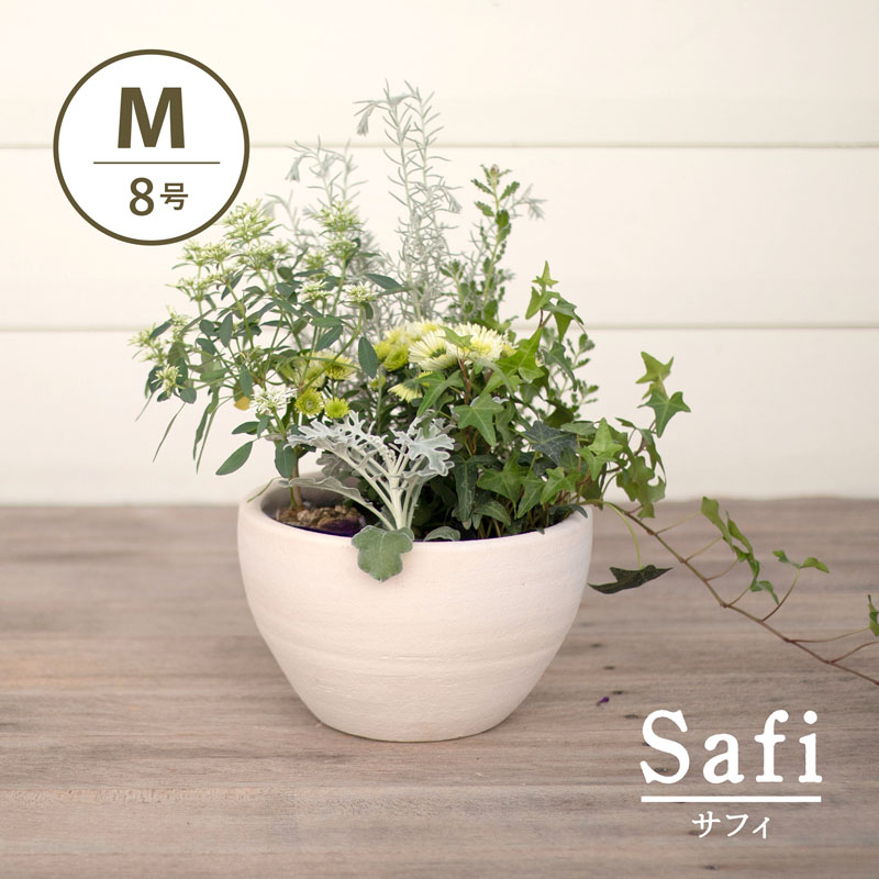 楽天市場】テラコッタ 植木鉢 大型 おしゃれ 人気 プランター