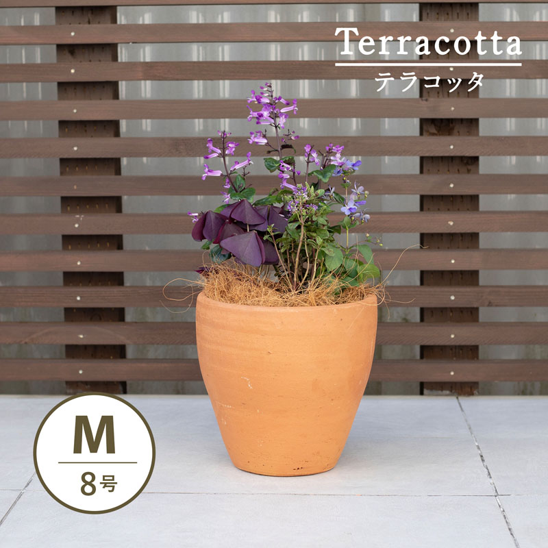 植木鉢✳︎テラコッタポット✳︎陶器✳︎観葉植物プランター多肉 楽天市場】テラコッタ 植木鉢 大型 おしゃれ 人気 プランター