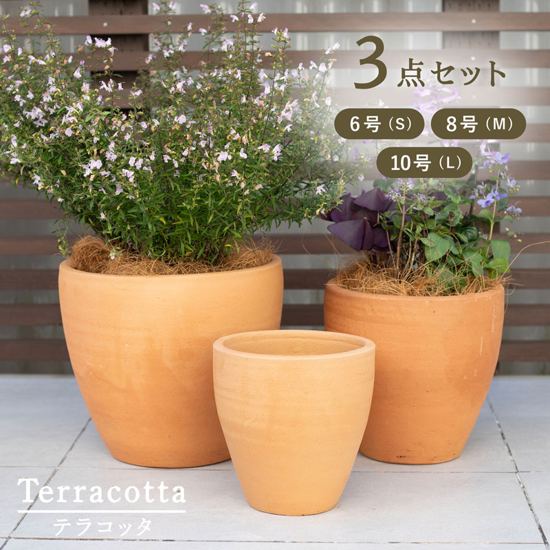 楽天市場】【植木鉢】【テラコッタ】テラクレマ ベイルド 2点