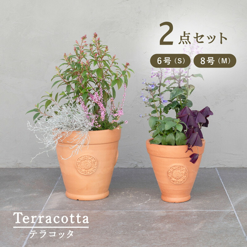楽天市場】【植木鉢】【テラコッタ】テラコッタ E39 3点セット