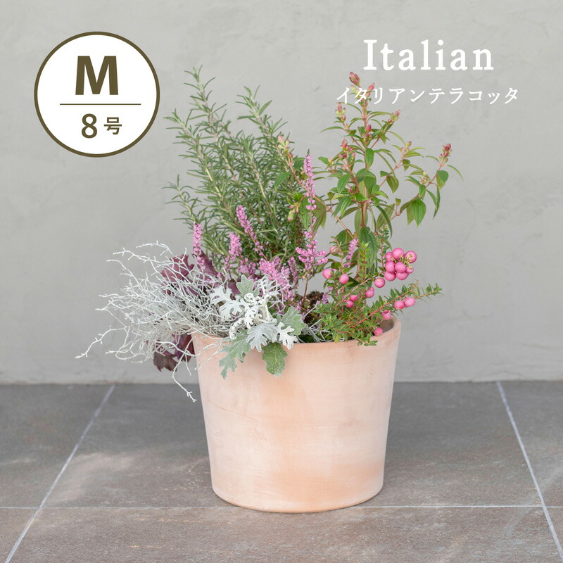 楽天市場】ヴァソ シリンドリコ ホワイト L 10号 ≪植木鉢 イタリアン