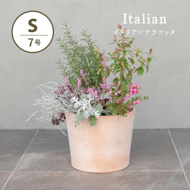 イタリアデローマ社製青色 波状模様 カラーテラコッタ大型植木鉢 イタリアデローマ社製青色 波状模様 カラーテラコッタ大型植木鉢