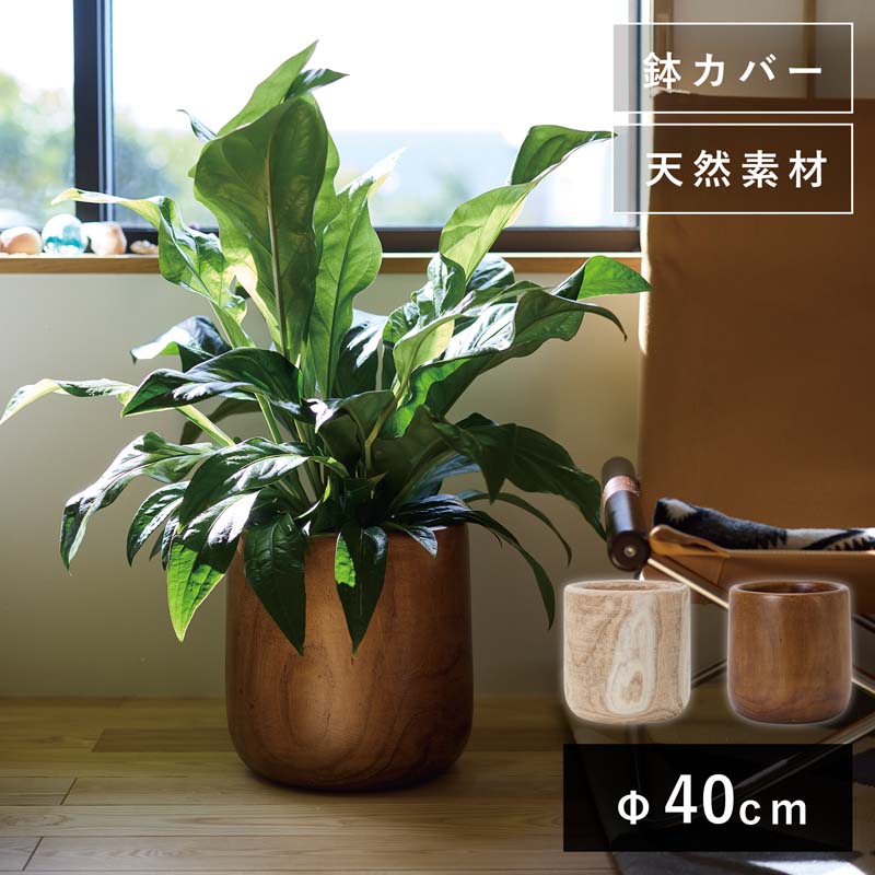 楽天市場】オイスター ユーポット S 33≪大型鉢カバー アンティーク