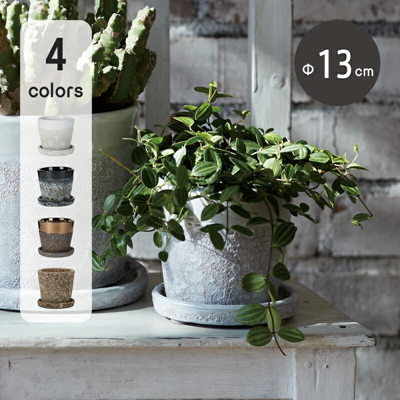 新品 植木鉢 6個セット 楽天市場】植木鉢 6号（植木鉢・プランター｜ガーデニング・農業