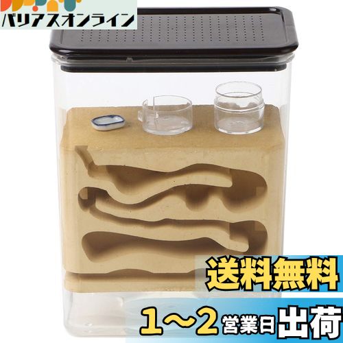 EnergyPower アリ飼育キット 石膏製巣箱 デジタル湿度/温度計付 土やゲルを使用しないので腐らず清潔 お子様でも安心の観察キット 最初から巣ができあがっているので数の多いコロニーでもすぐに生活可能 保湿性が高く湿度管理がしやすい石膏巣の蟻専用飼育ケース 透明ア