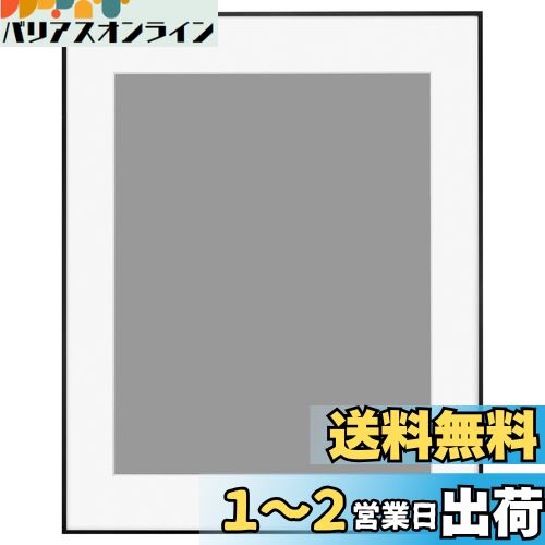 ハクバ HAKUBA 額縁 アルミ HFA-03 全紙 アクリル板 ブラック(ホワイトマット) HFA-03BWM-Z